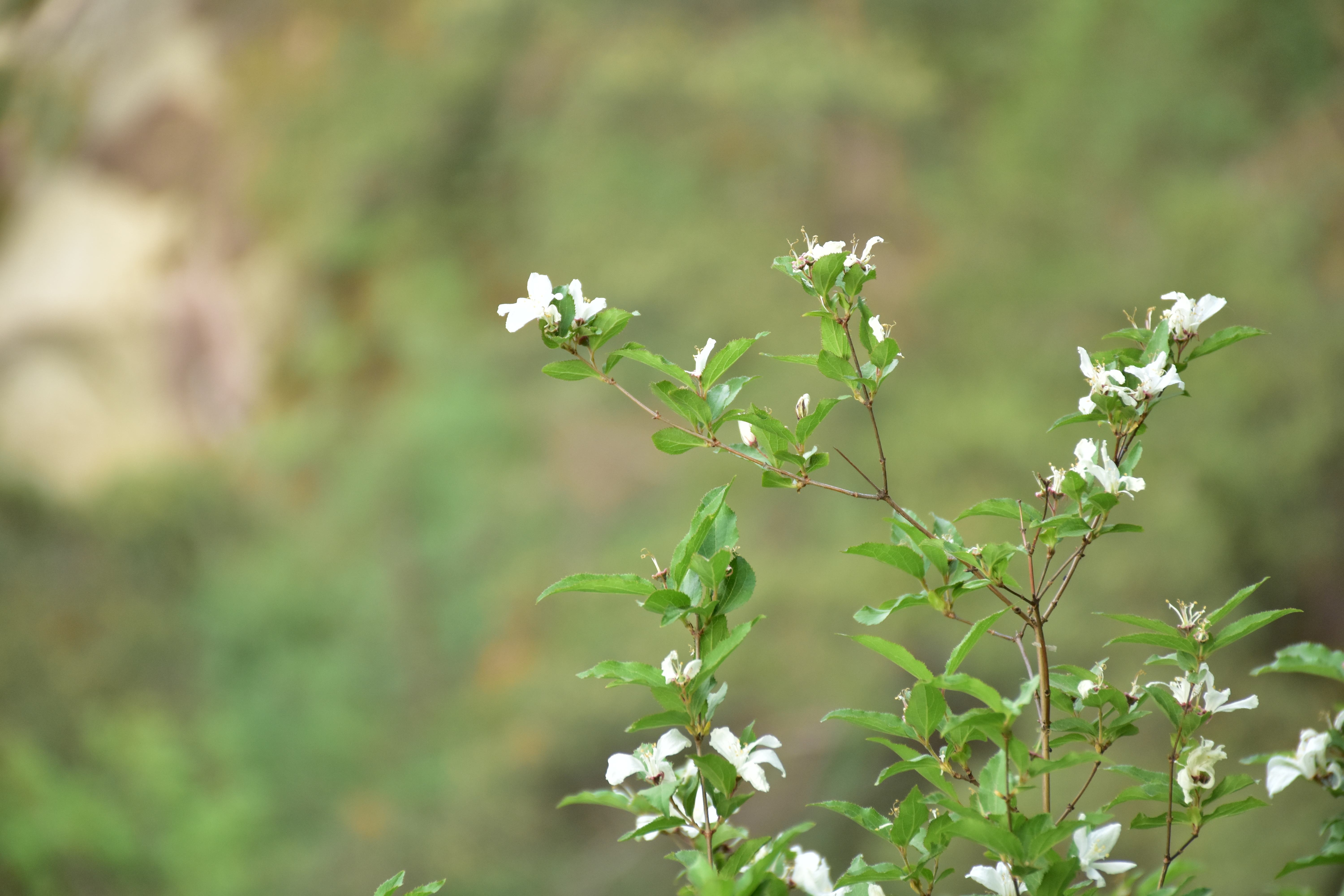 美好如此简单，生活因你而美